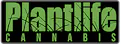 dispensary logo