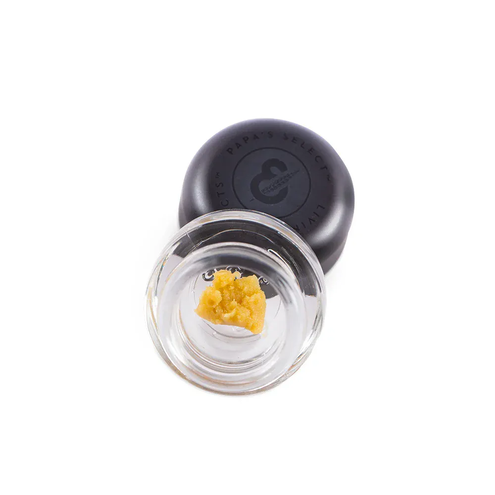 SYTD⭐️PAPA Harborside (San Leandro)