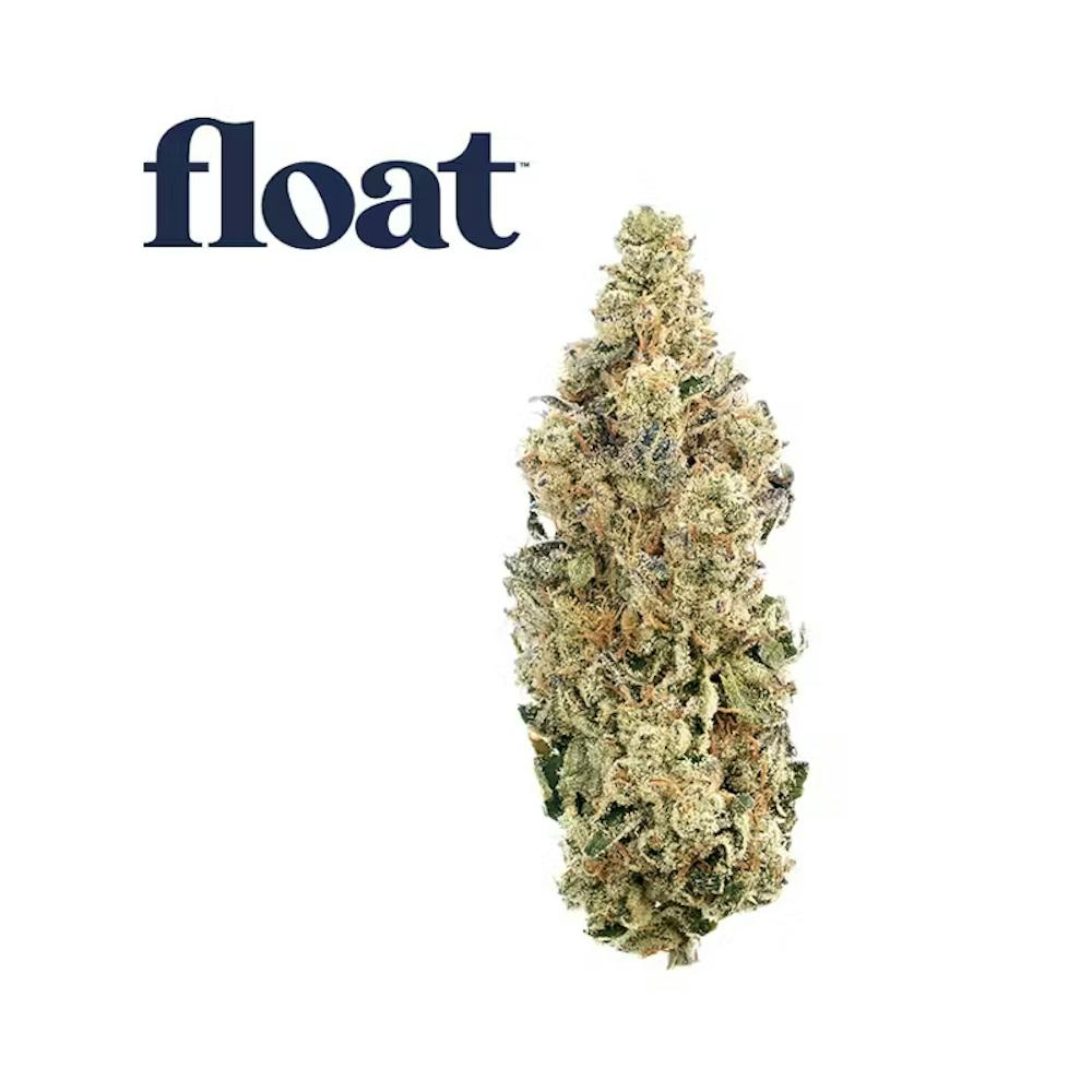 Product Float - Pine Zap - Flower