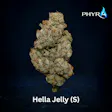 Hella Jelly