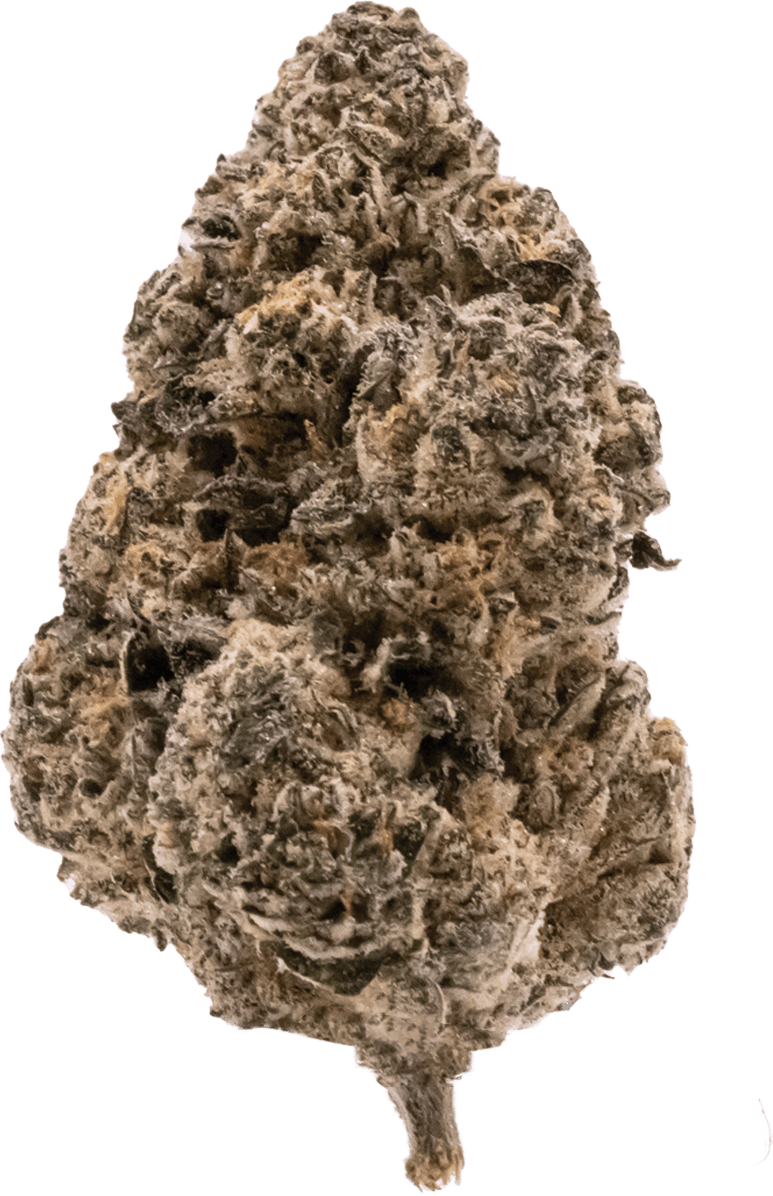 Spiritleaf (Burlington South)