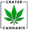 dispensary logo
