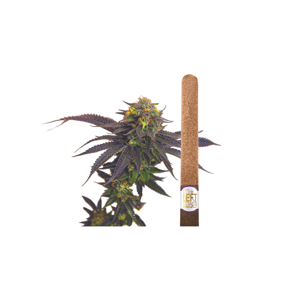 Product Left Coast - Grape Cookie - 2g Infused Blunts