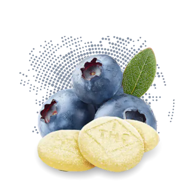 Blueberry - C-Bite