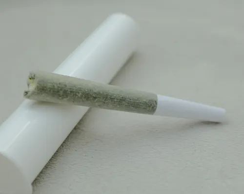Larissa Pippin Pre-Roll | 1g-1