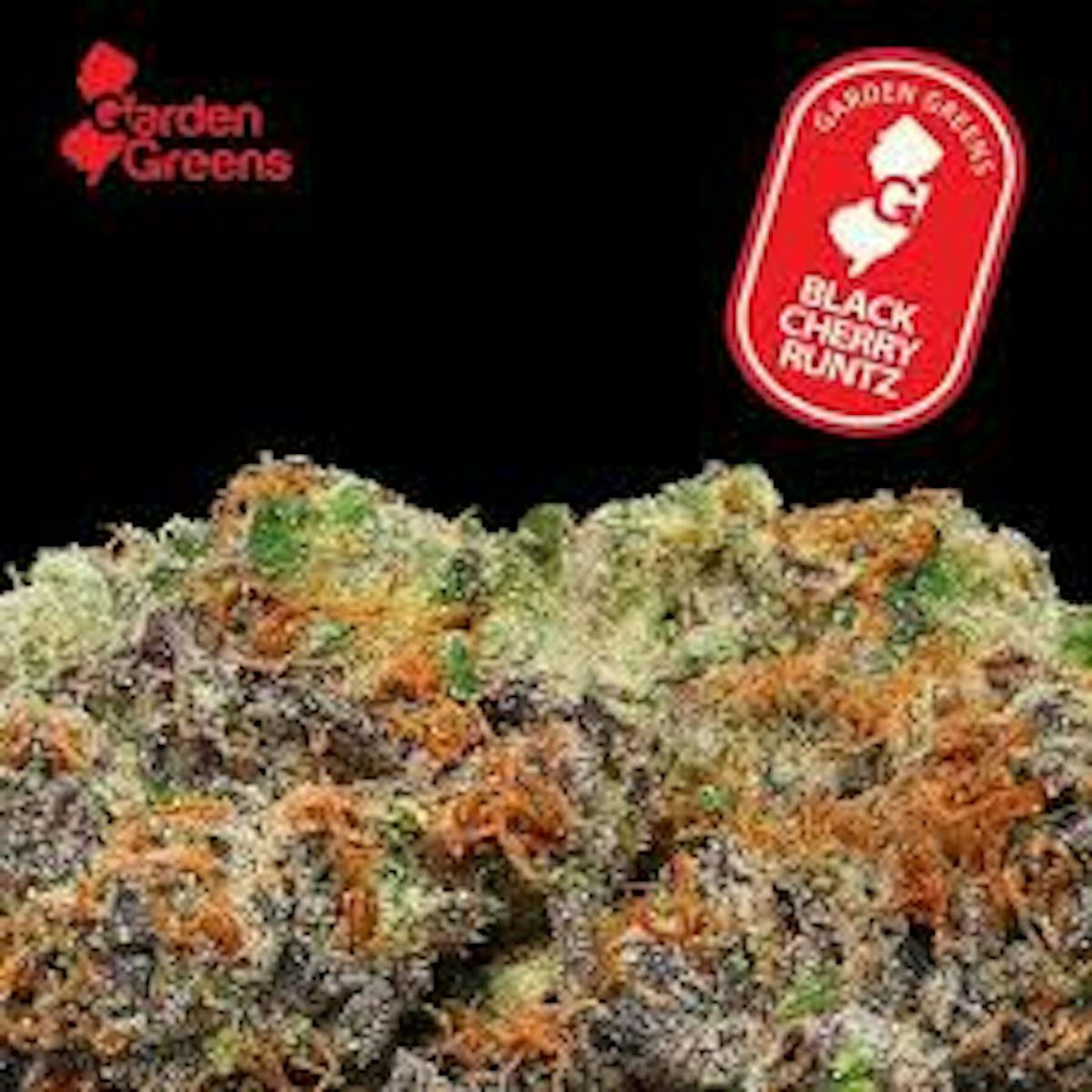 Photo of Garden Greens | Black Cherry Runtz