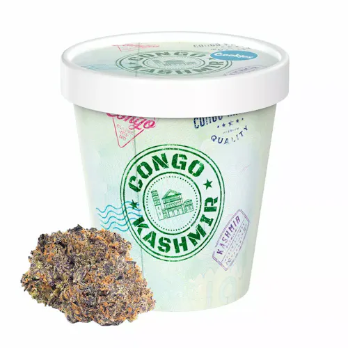 Cookies – Congo Kashmir – Indoor – Flower Tub-active