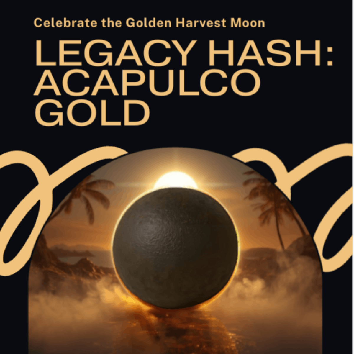 Legacy Hash | Acapulco Gold | Traditional Hashish