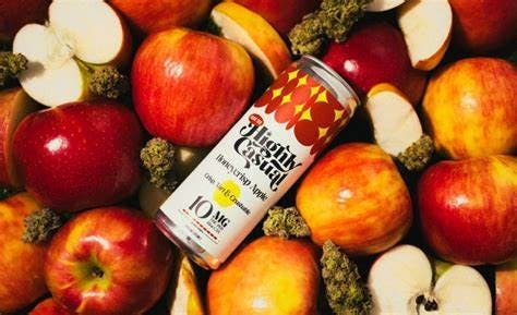 Highly Casual | Hang Ten Honeycrisp Apple Seltzer | 10mg
