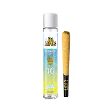Left Coast - 1g Infused Preroll - Maui Pineapple