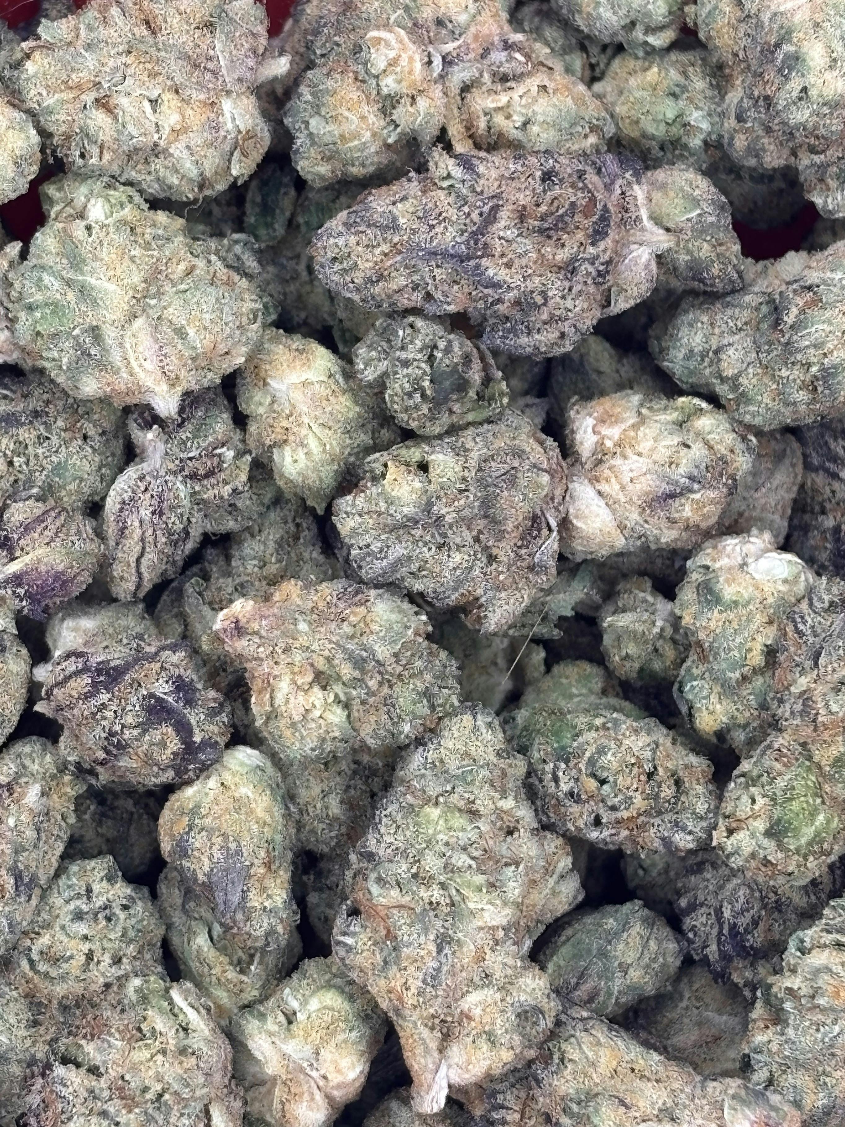 Juiced | Coconut Pudding