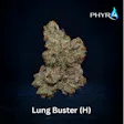 Lung Buster