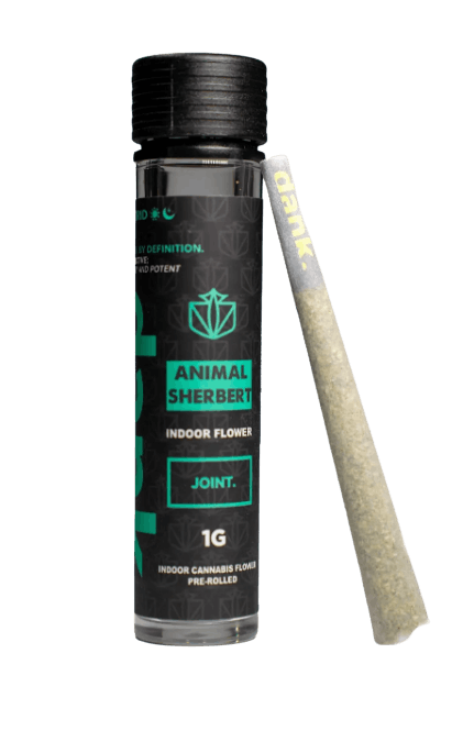 Animal Sherbet  | Single