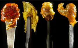 Concentrates category image