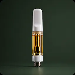 Vaporizers category image