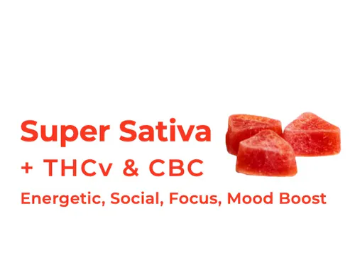 MyHi | Super Sativa Berry | 2:1 THC / CBD + THCv & CBC | Waterless Live Rosin Gummies | 10pk-1