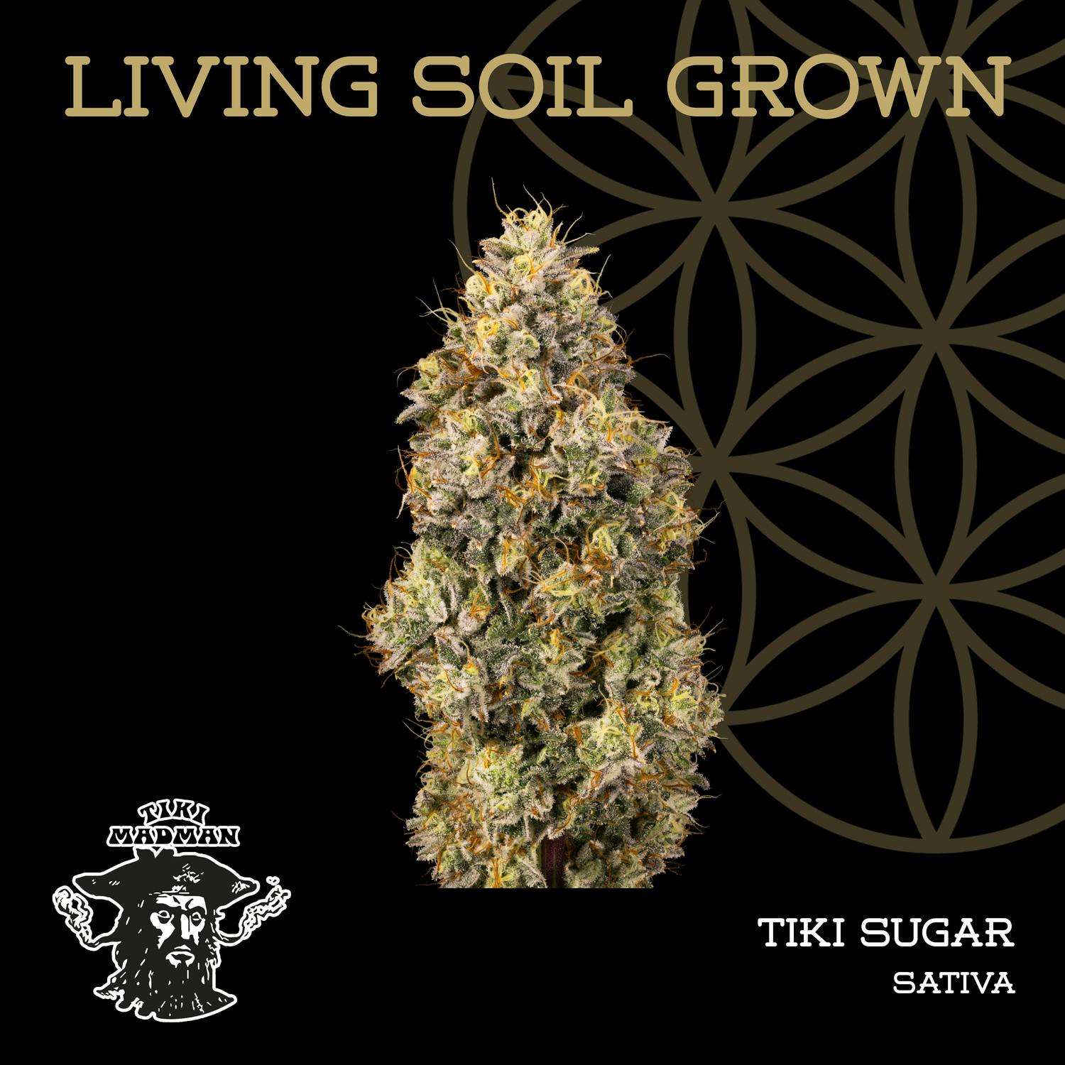 Flower of Life | Bulk Bud - Tiki sugar