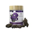 High Tide: Grand Daddy Purple