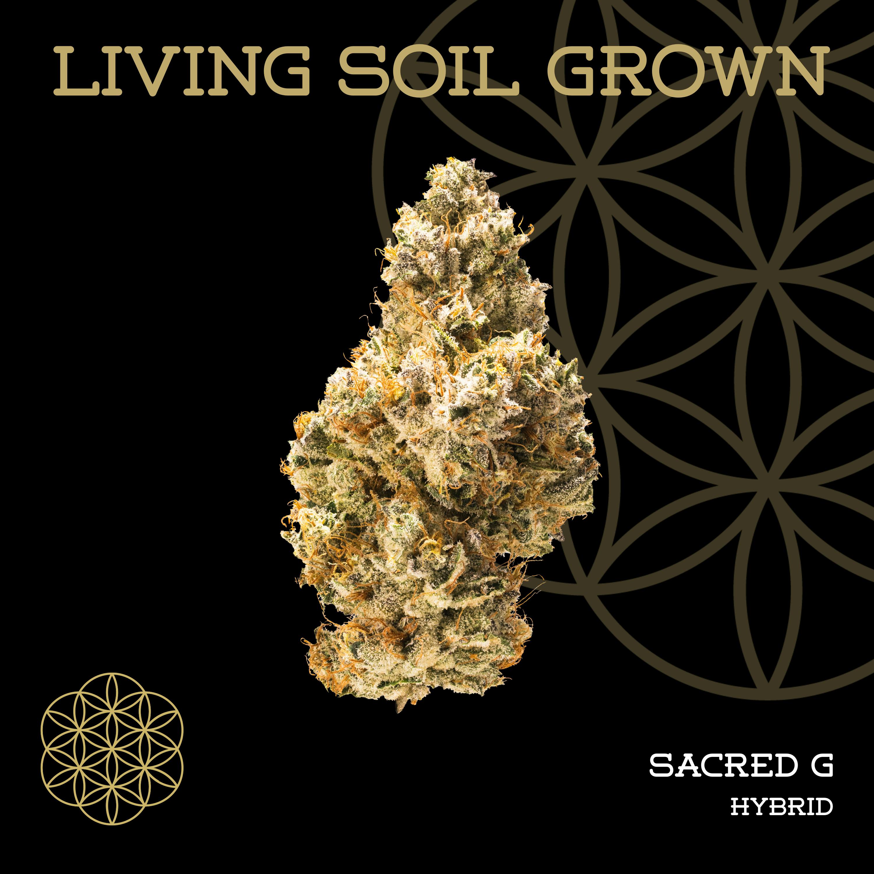 Product: Flower of Life | Bulk Bud - Sacred G