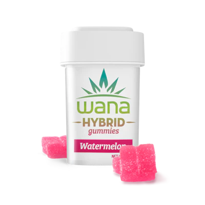 Classic Watermelon Hybrid Gummies [10 pack] | 200mg