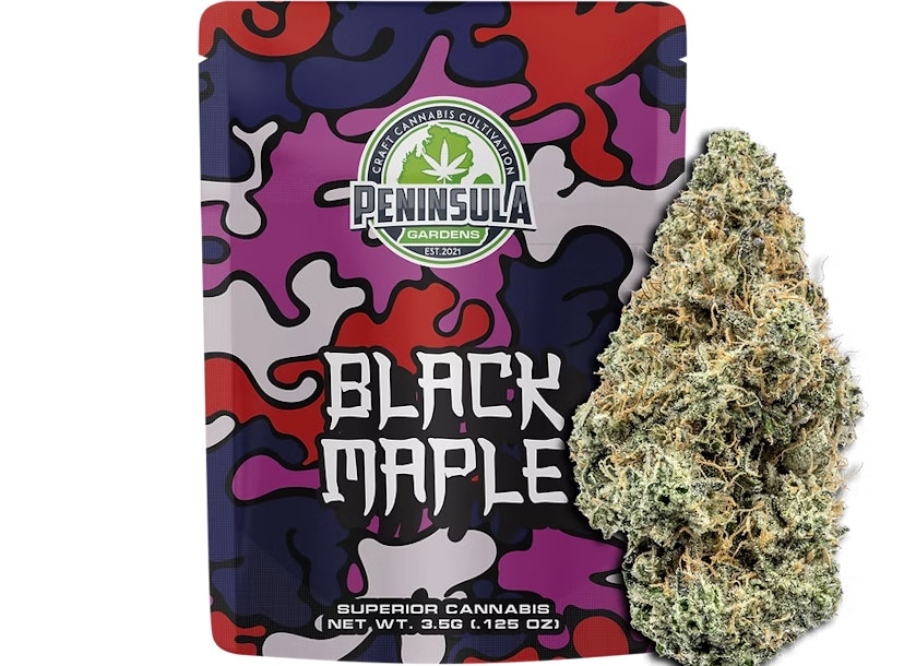 Peninsula Gardens | Black Maple