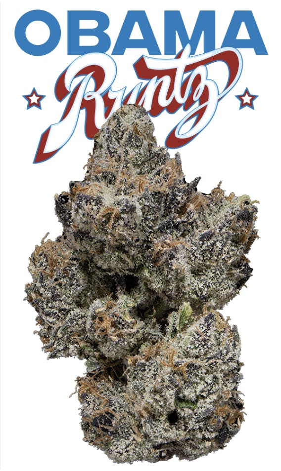 Flower | Runtz | Obama Runtz | 3.5g