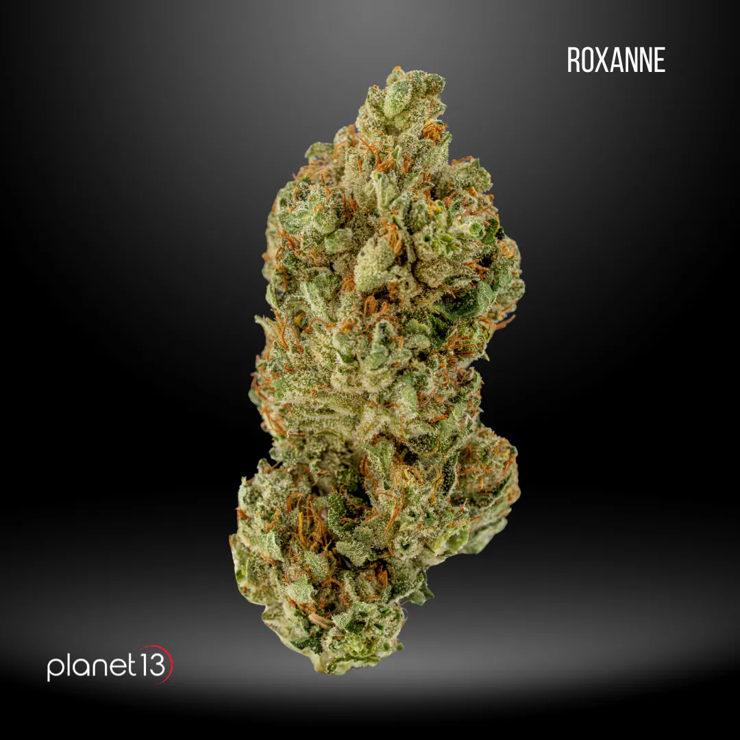 Cannabis Flower | Planet 13 Jacksonville