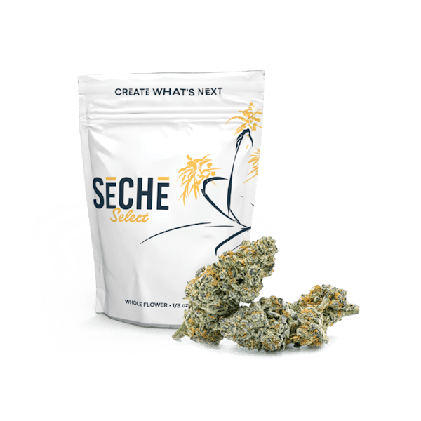 Grape Bubblegum | 3.5g  | All Day | SeCHe