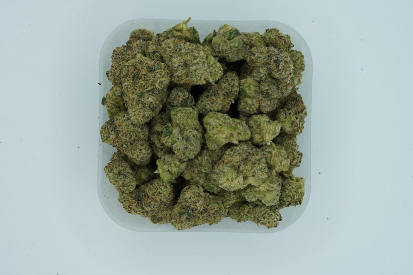 Trapco Flower Black Maple