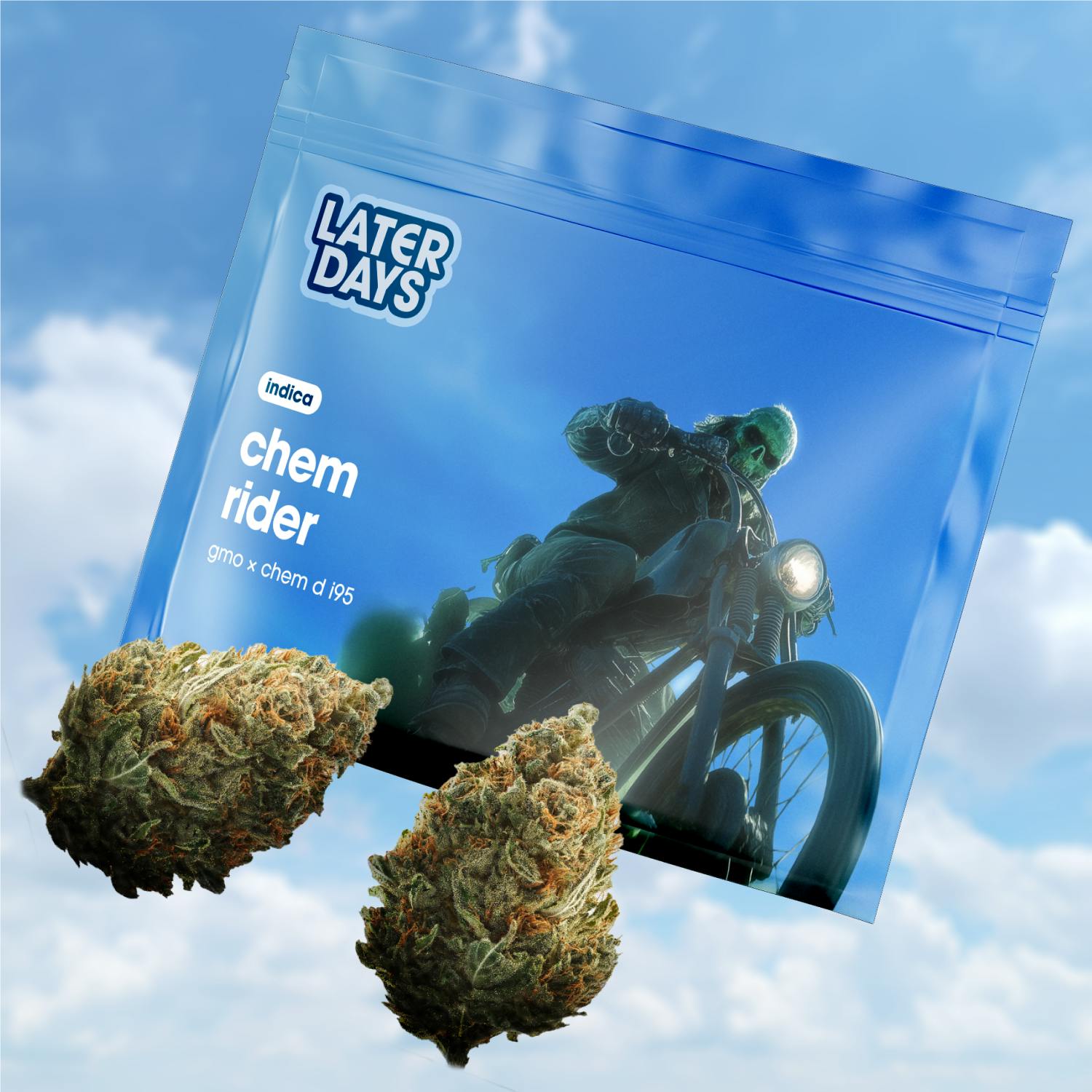 Later Days Chem Rider