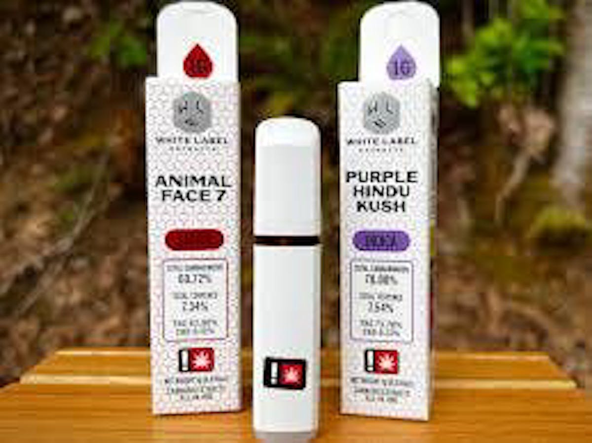 Photo of WLE 1g SCOOBY SNACKS CR All-In-One