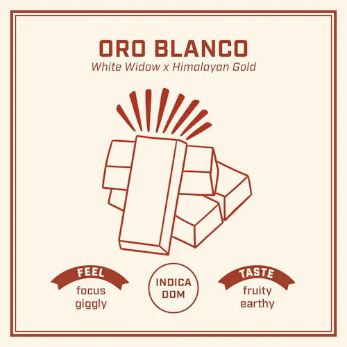 Flower – Oro Blanco-1