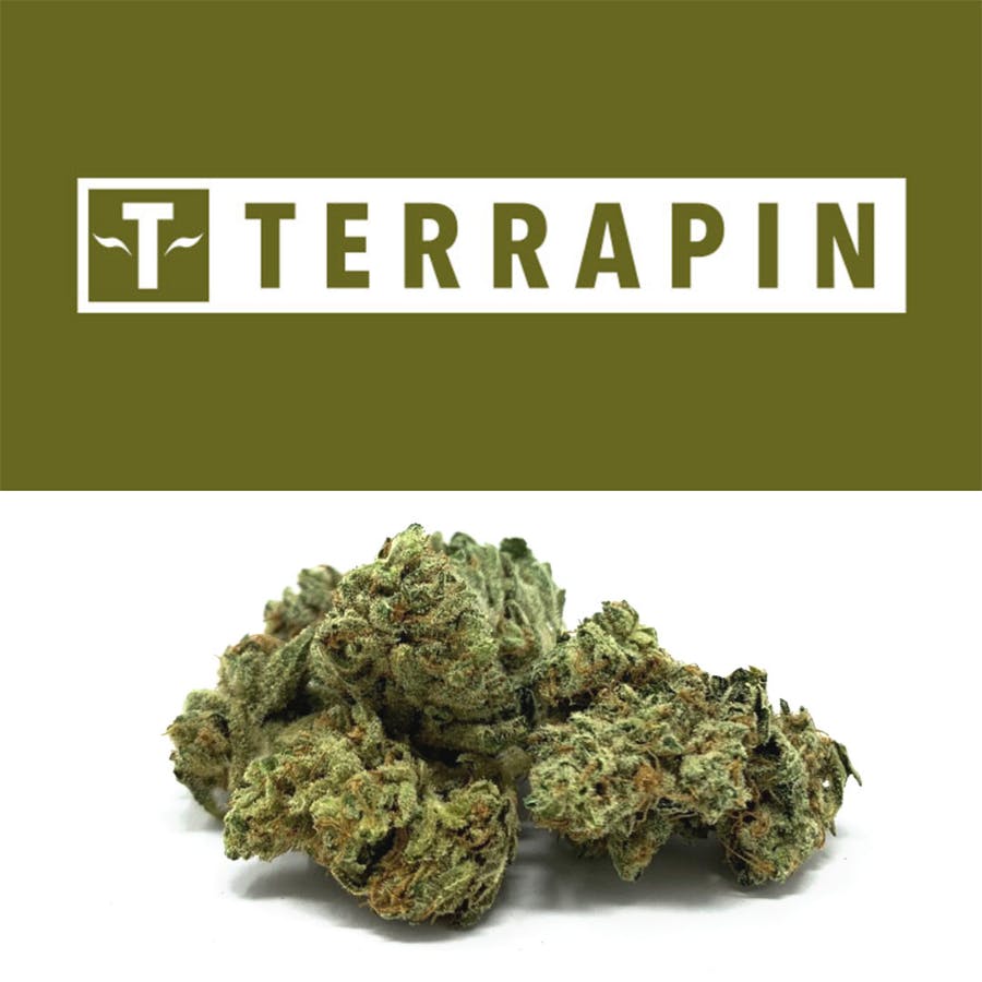 Cookies Detroit Detroit Mi Marijuana Dispensary Dutchie