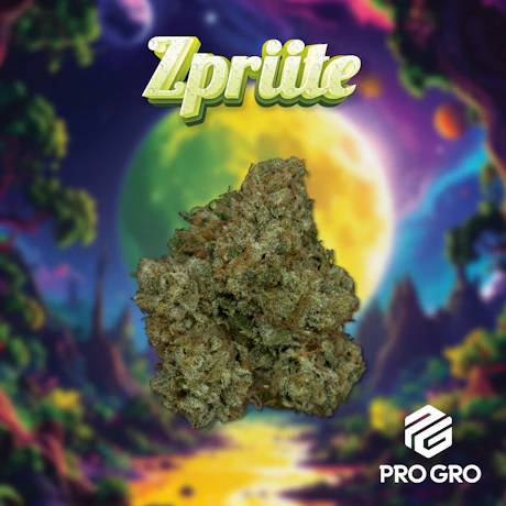 DELI - Pro Gro - Zprite - product image at King of Budz