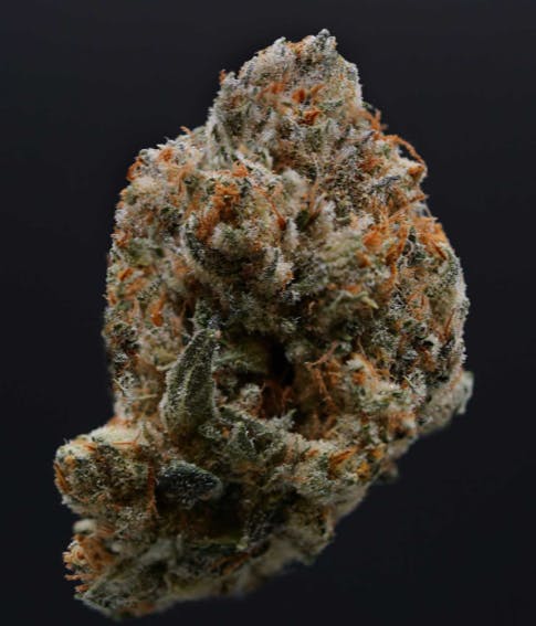 Gelato Punch