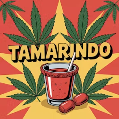 DELI - Tamarindo (Smalls) - FLOWER by GoodGood at King of Budz
