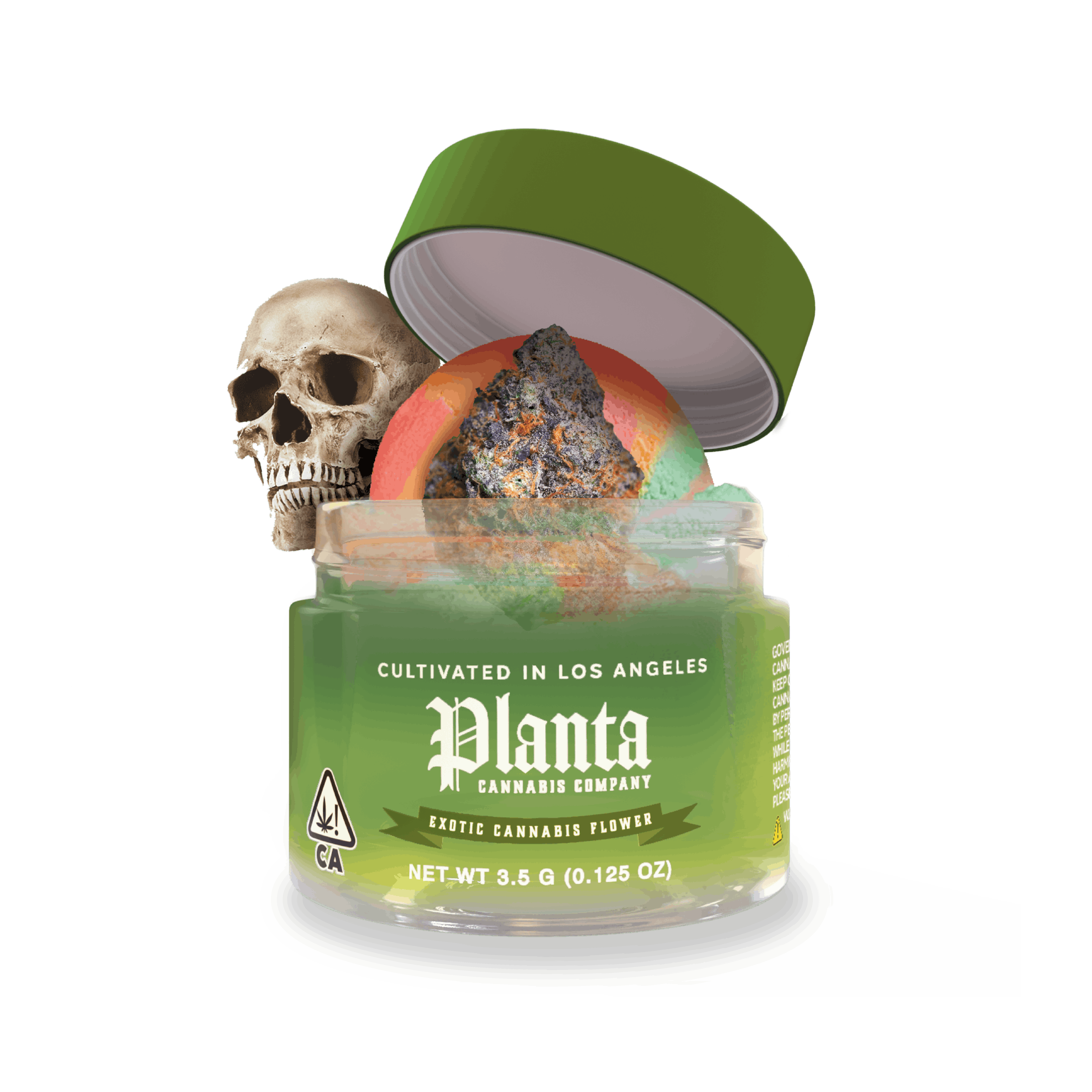 Planta Coffin Candy