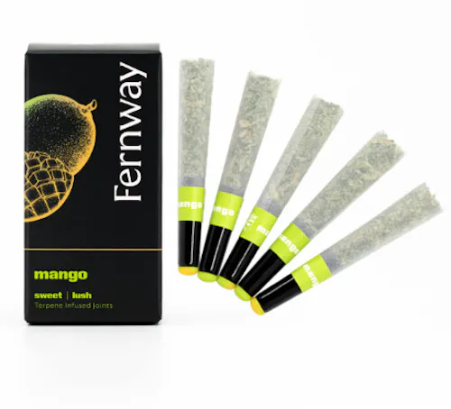 Mango Terpene Infused 5pk 2.5g-1