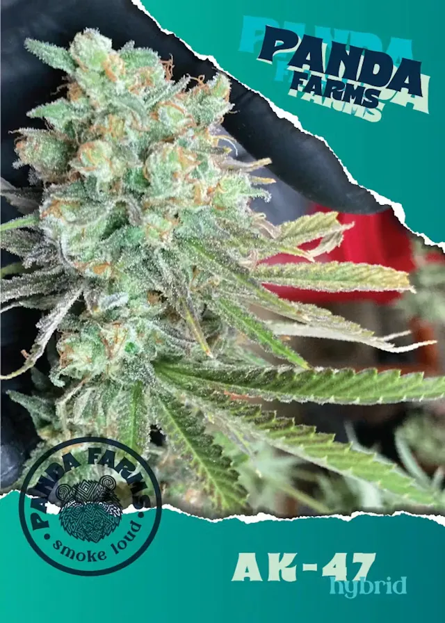 Panda Farms Pre-Ground AK-47 14g (hybrid, pre ground)