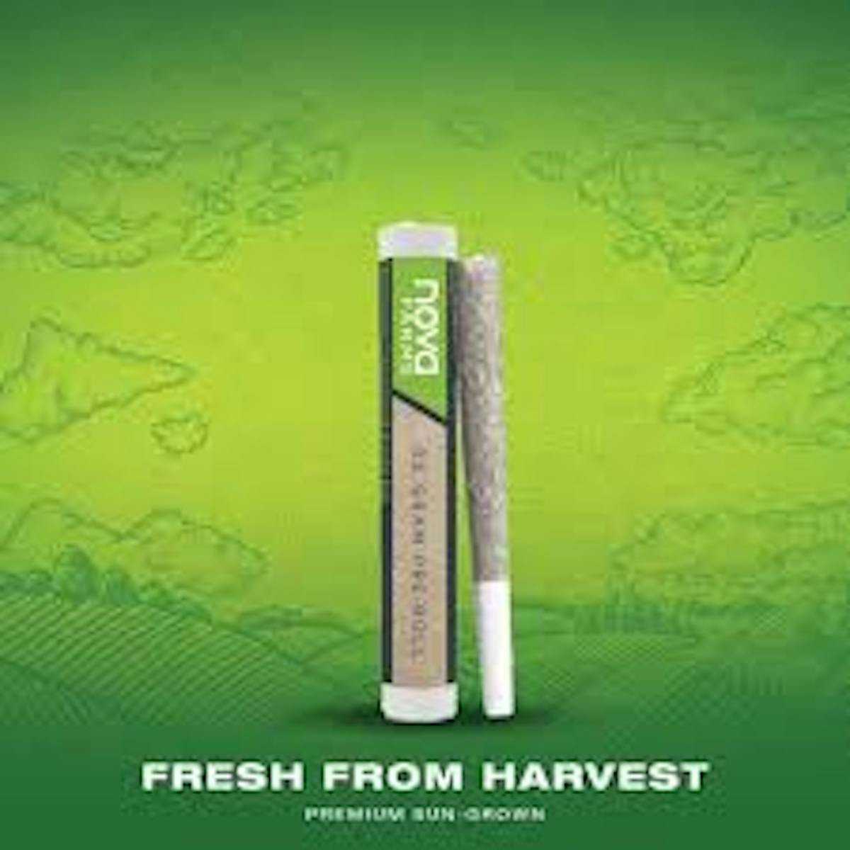 Photo of Nova Farm l Black Cherry Runtz Pre Roll 1pk l 1g