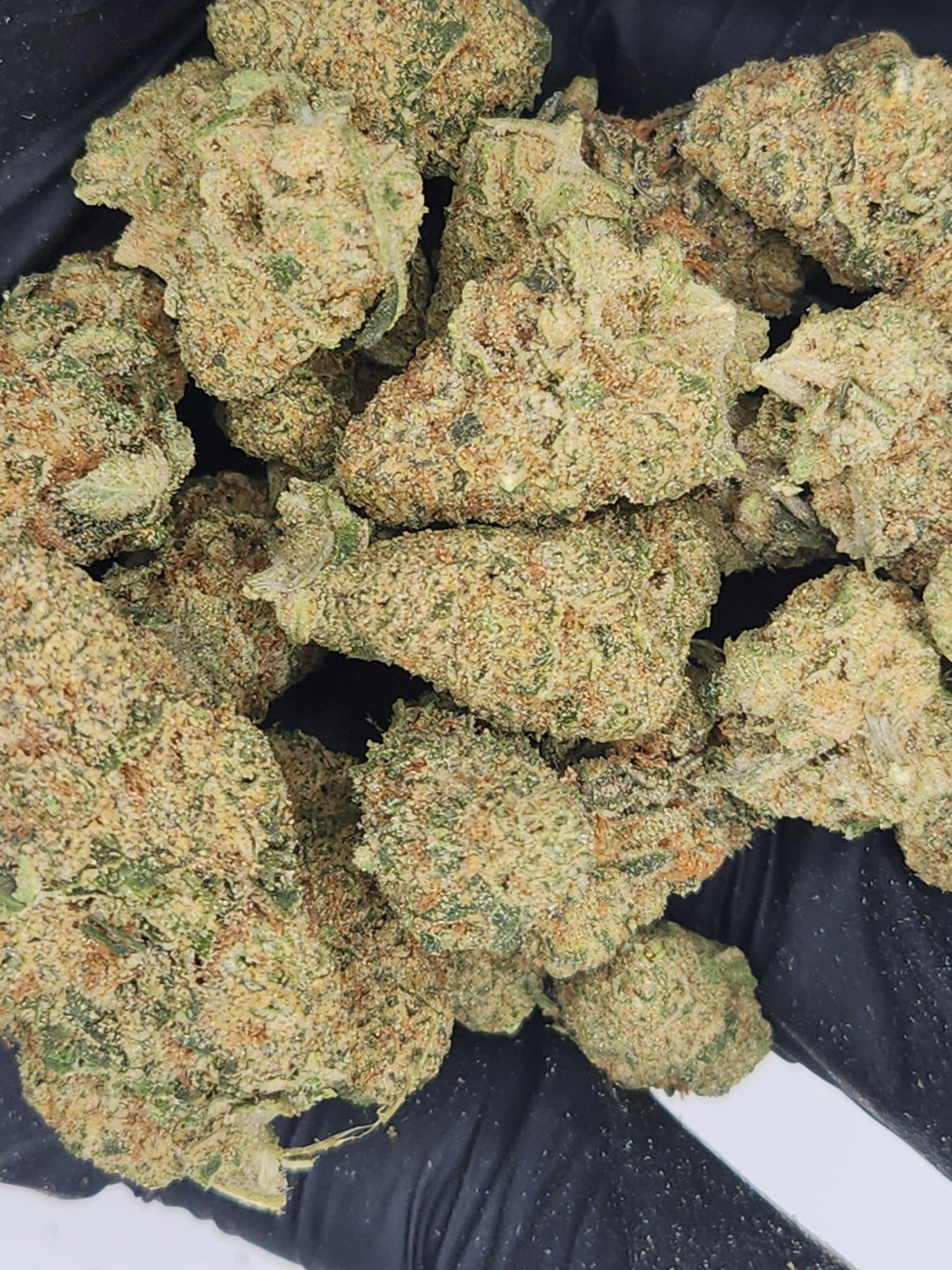 Product: Insane Gorilla | Bulk Bud - Superboof
