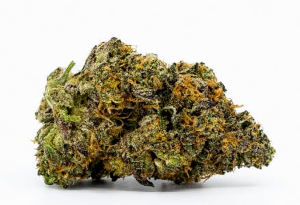 Apple Jacked | Jade Collection