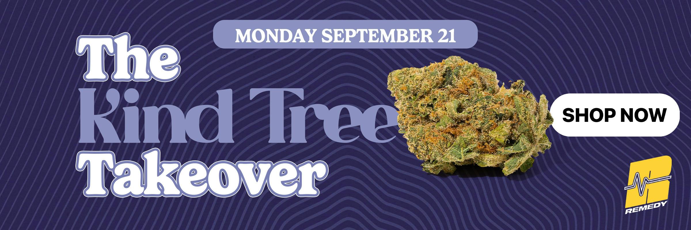 Kind Tree Takeover at Remedy Columbia
