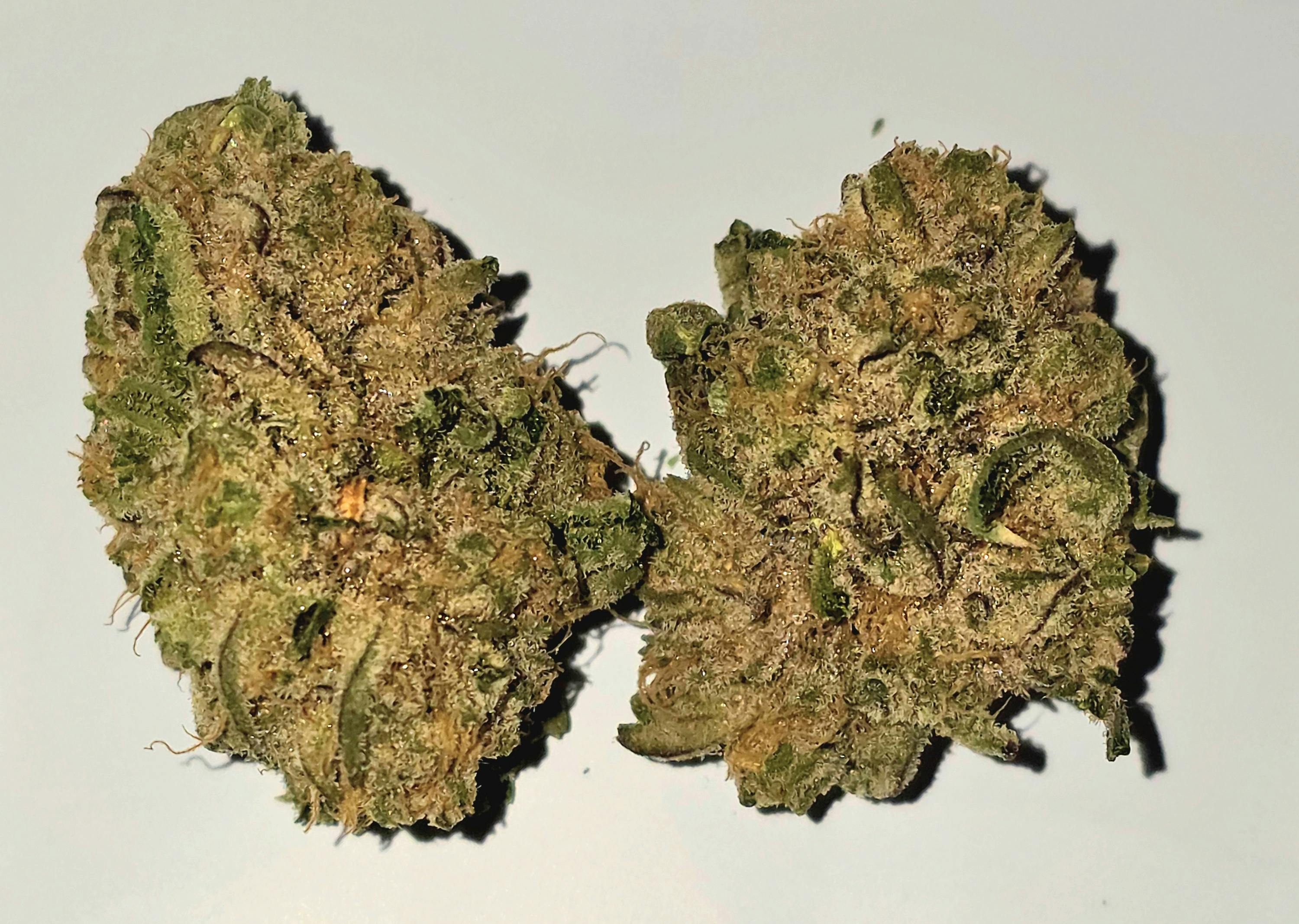 Wildberry Sherbert | Jade Collection