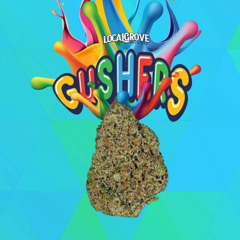 LocalGrove | Gushers
