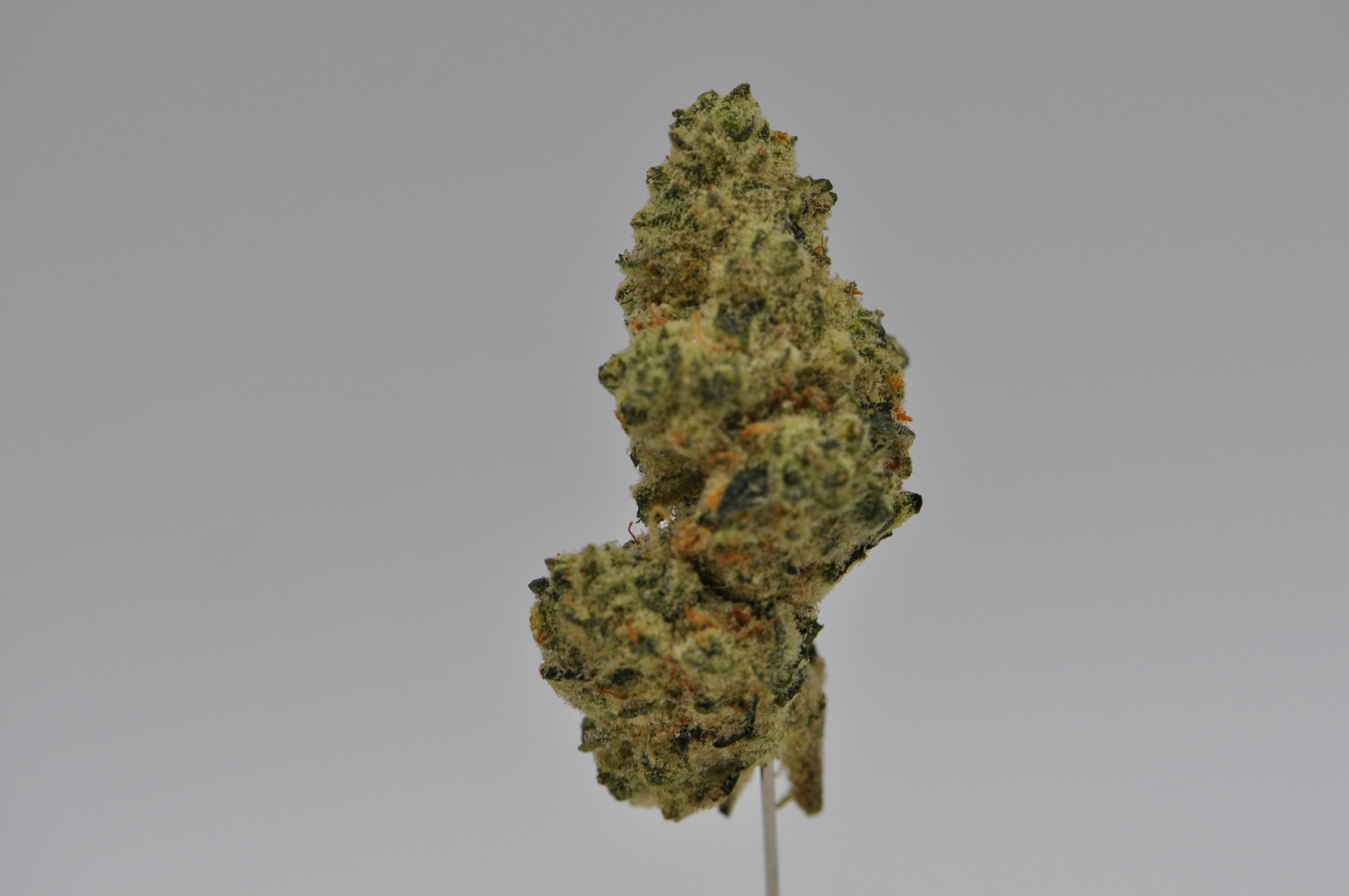 image of Headband Cookies “Small Buds” | 1g House Flower