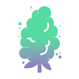 Flower | Cannect Dispensary - Franklin Park