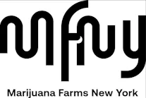 MFNY Logo