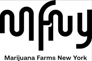 MFNY logo