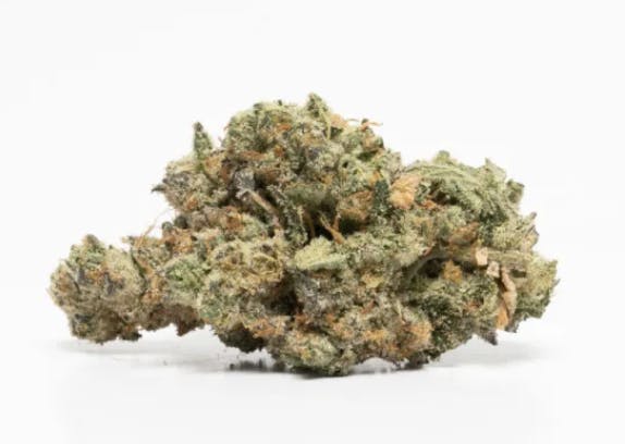 MJ Verdant | Pre-Pack - 3.5g - Blue Java